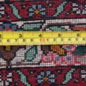 Dropbox_Mehdi-9725-Back.jpg