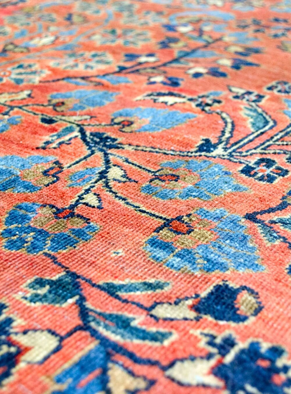 Dropbox_Mehdi-A26088-Artistic.jpg Dropbox_Mehdi-A26088-Artistic.jpg