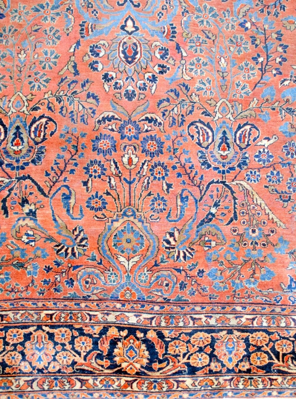 Dropbox_Mehdi-A26088-Close-Up.jpg Dropbox_Mehdi-A26088-Close-Up.jpg