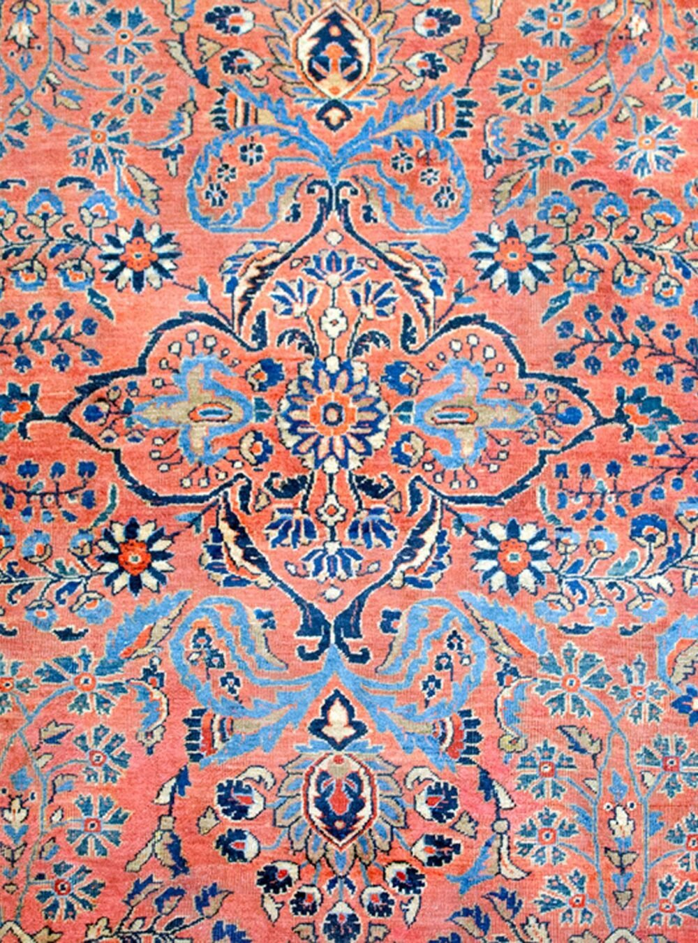 Dropbox_Mehdi-A26088-Close-Up1.jpg Dropbox_Mehdi-A26088-Close-Up1.jpg