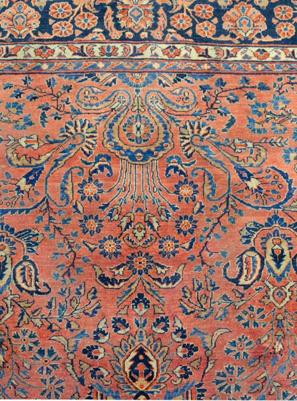 Dropbox_Mehdi-A26088-Close-Up2.jpg Dropbox_Mehdi-A26088-Close-Up2.jpg