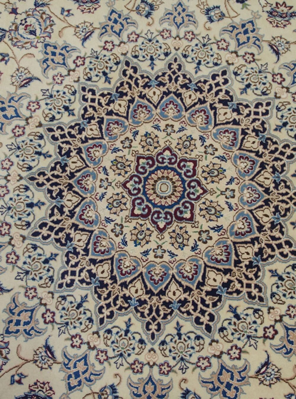Dropbox_Mehdi-H235-Close-Up.jpg Dropbox_Mehdi-H235-Close-Up.jpg