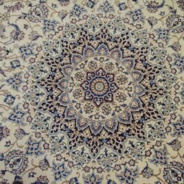 Dropbox_Mehdi-H235-Close-Up.jpg