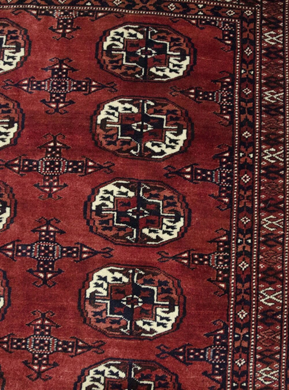 Dropbox_Mehdi-H252-Close-Up.jpg Dropbox_Mehdi-H252-Close-Up.jpg