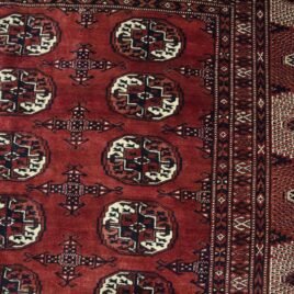Dropbox_Mehdi-H252-Close-Up.jpg