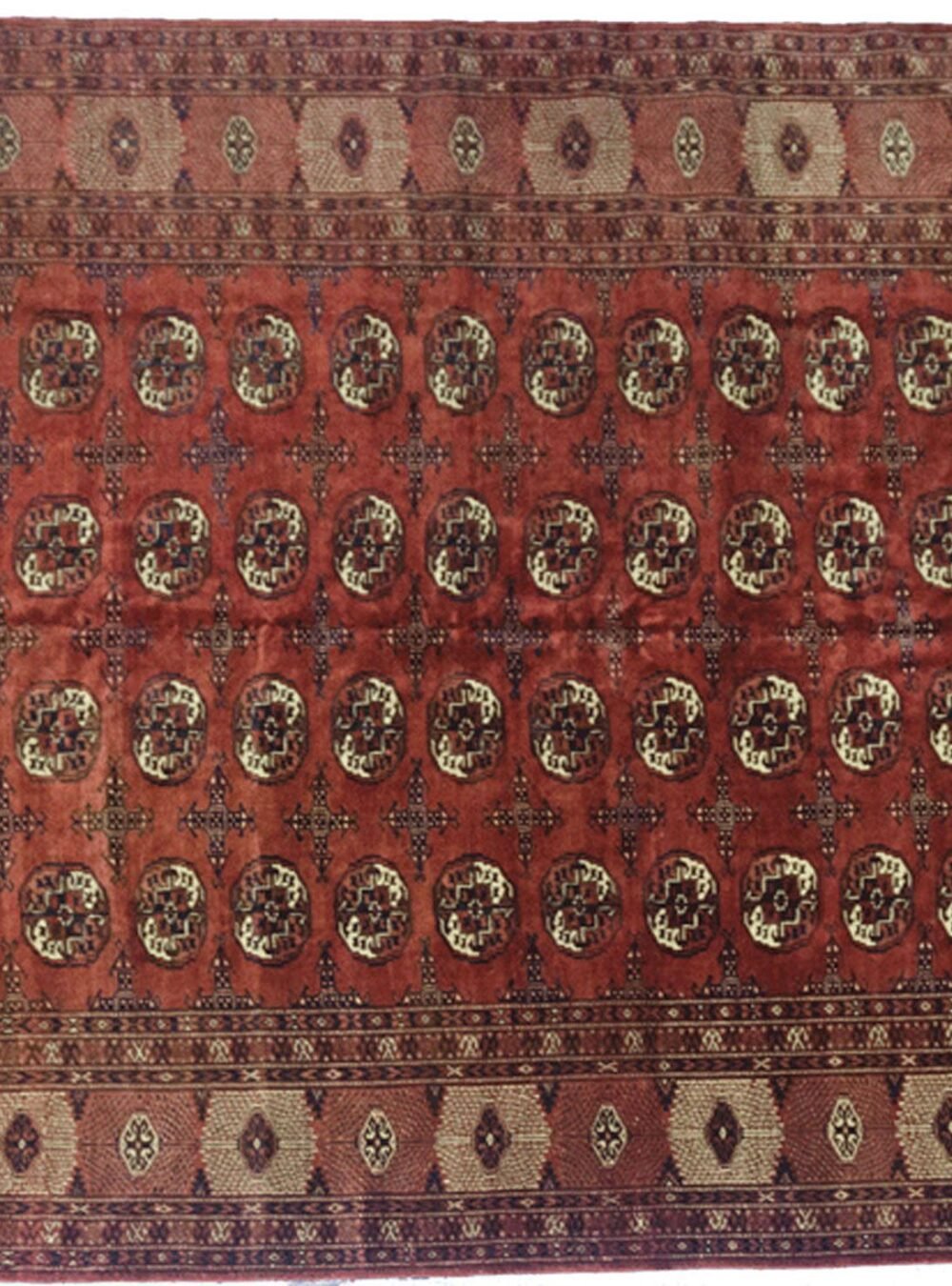 Dropbox_Mehdi-H252-Turkmen-334x224cmr.jpg Dropbox_Mehdi-H252-Turkmen-334x224cmr.jpg