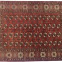 Dropbox_Mehdi-H252-Turkmen-334x224cmr.jpg
