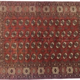 Dropbox_Mehdi-H252-Turkmen-334x224cmr.jpg
