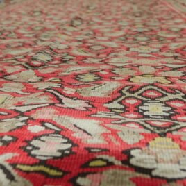 Dropbox_Mehdi-H254-Artistic.jpg