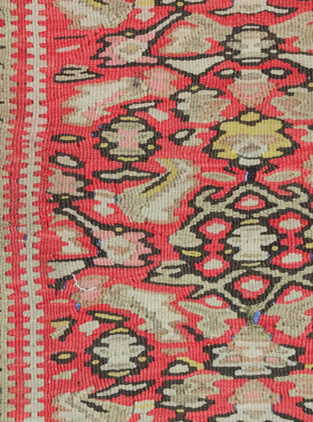 Dropbox_Mehdi-H254-Close-Up.jpg Dropbox_Mehdi-H254-Close-Up.jpg