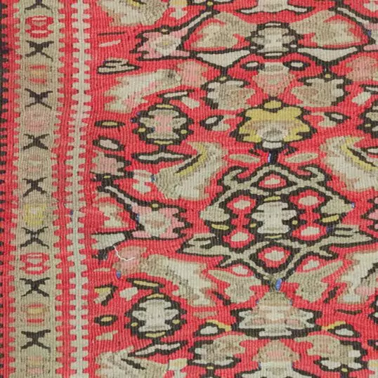 Dropbox_Mehdi-H254-Close-Up.jpg