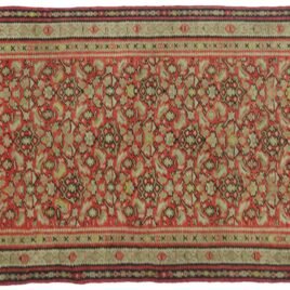 Dropbox_Mehdi-H254-Senneh-202x117cmr.jpg