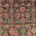 Dropbox_Mehdi-H262-Closeup.jpg