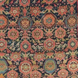 Dropbox_Mehdi-H262-Closeup.jpg
