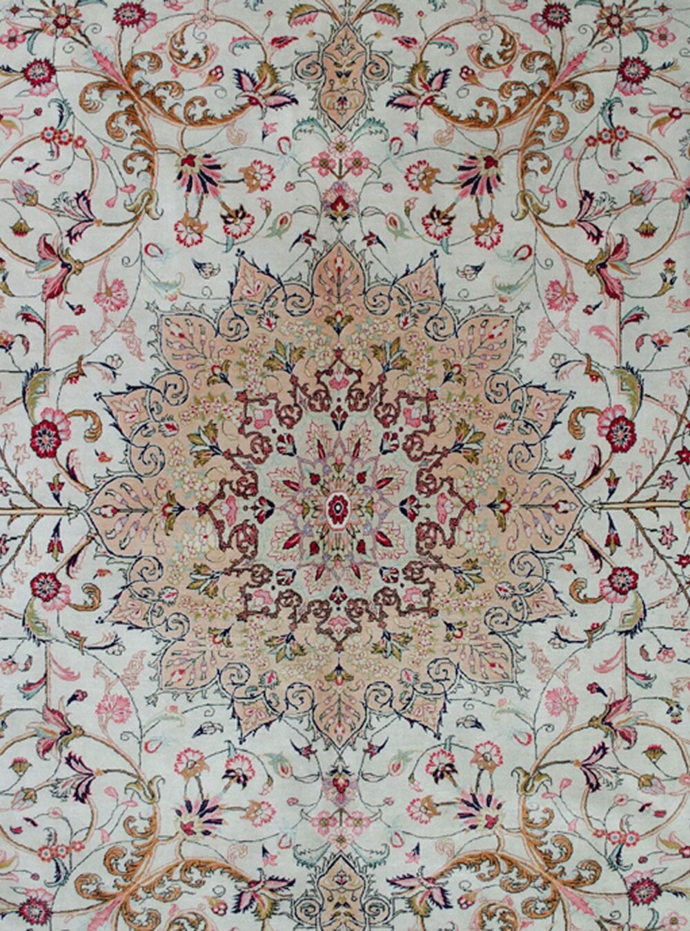 Dropbox_Mehdi-H311-Close-Up1.jpg Dropbox_Mehdi-H311-Close-Up1.jpg