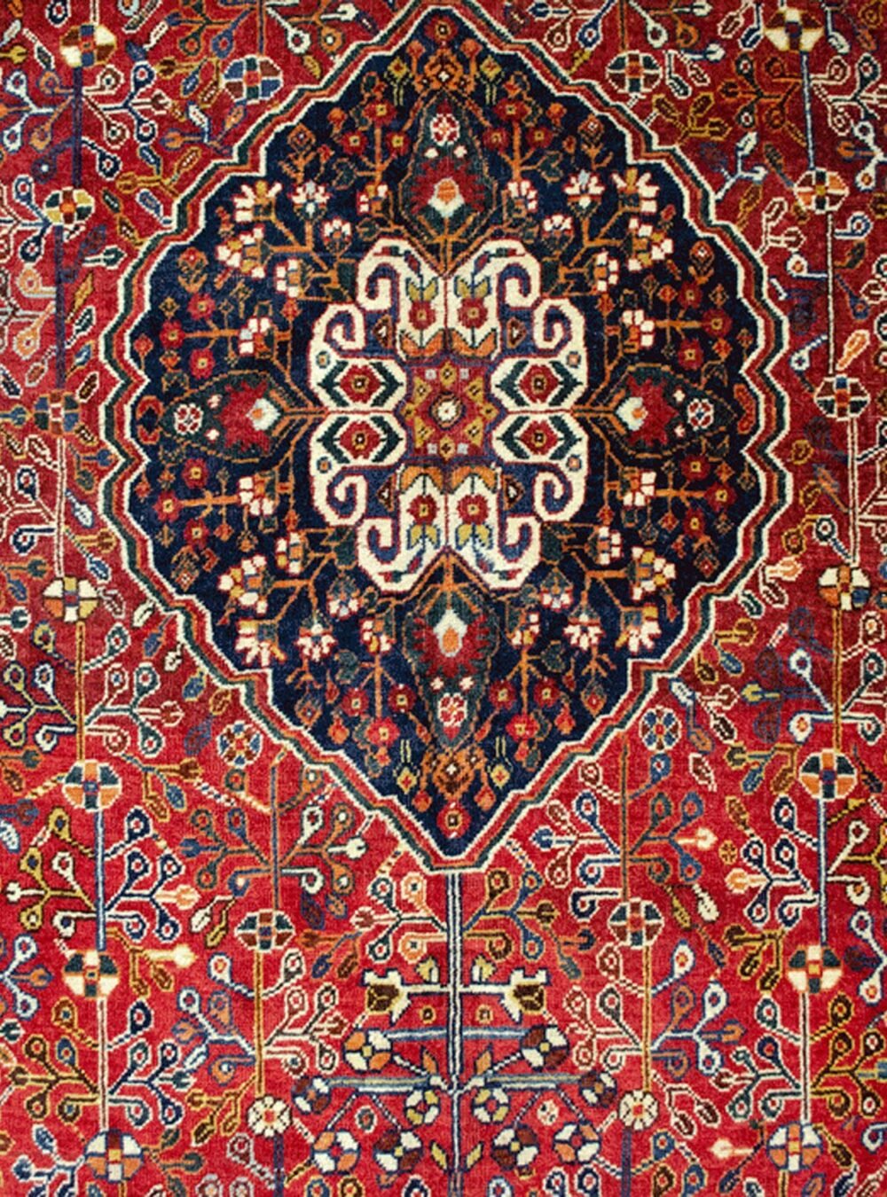 Dropbox_Mehdi-H313-Close-Up1.jpg Dropbox_Mehdi-H313-Close-Up1.jpg