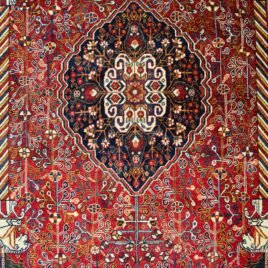 Dropbox_Mehdi-H313-Close-Up1.jpg