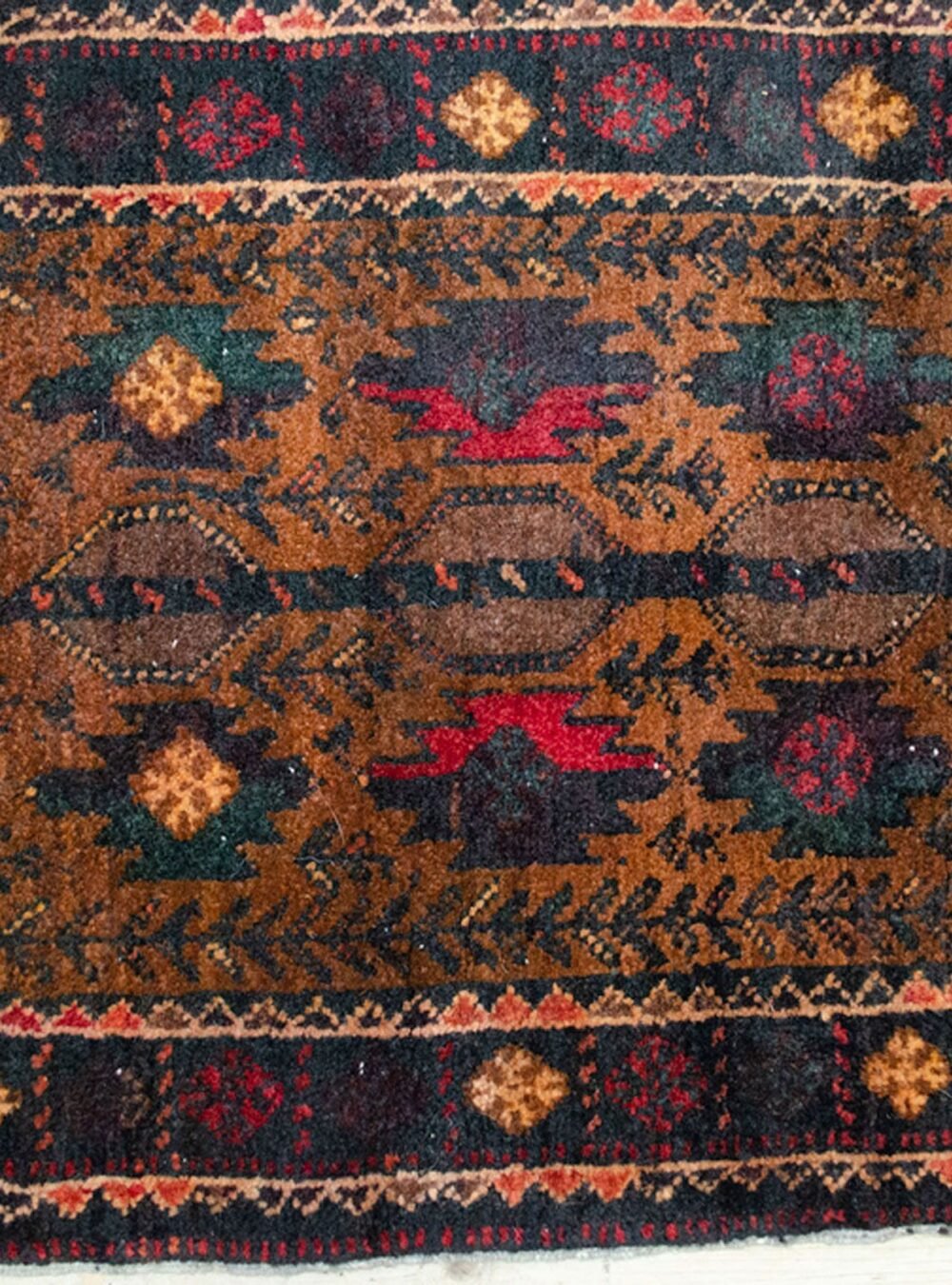 Dropbox_Mehdi-H334-Close-Up.jpg Dropbox_Mehdi-H334-Close-Up.jpg
