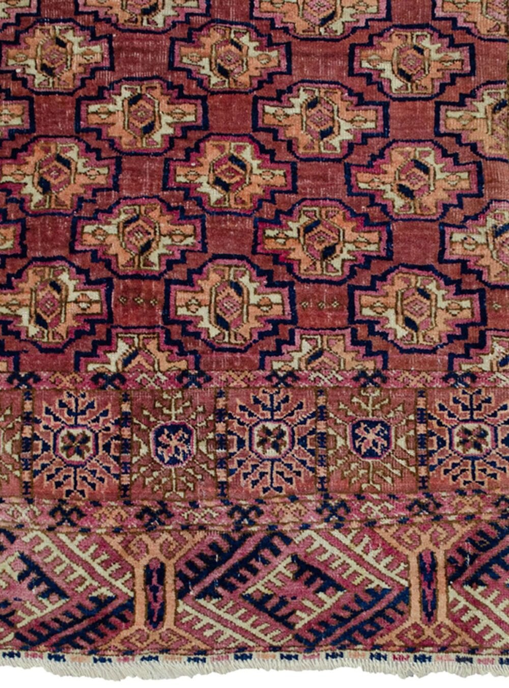 Dropbox_Mehdi-H335-Close-Up.jpg Dropbox_Mehdi-H335-Close-Up.jpg