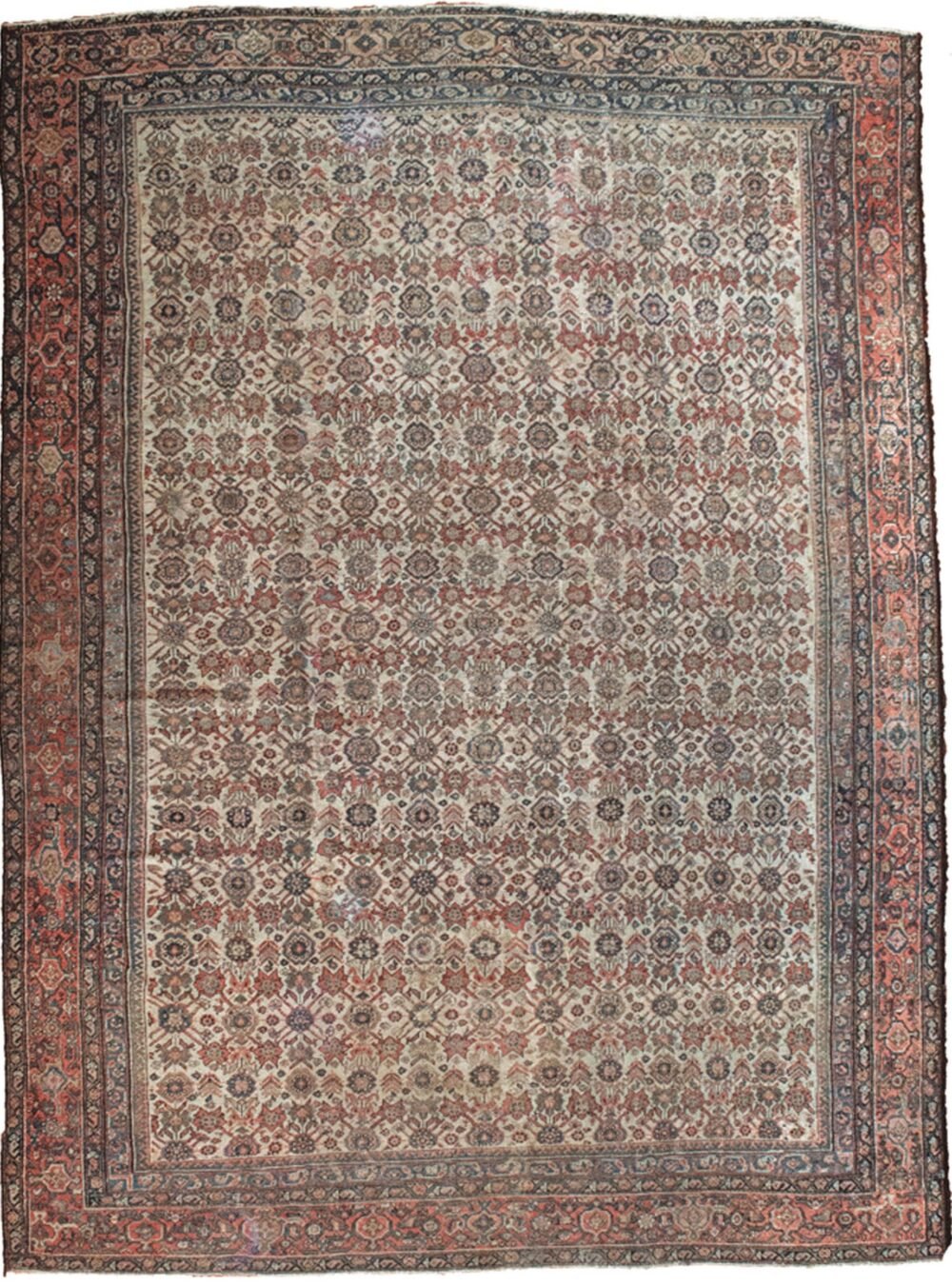 alt="Large Farahan carpet with cream floral field and red border" alt="Handwoven Persian rug with all-over flowerhead pattern" alt="Vintage Farahan carpet in natural dyes and handspun wool" alt="Elegant cream and red Persian carpet with low pile"