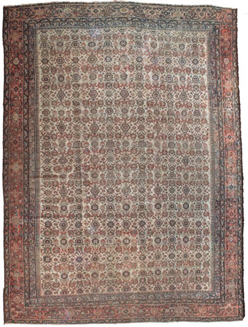alt="Large Farahan carpet with cream floral field and red border" alt="Handwoven Persian rug with all-over flowerhead pattern" alt="Vintage Farahan carpet in natural dyes and handspun wool" alt="Elegant cream and red Persian carpet with low pile"