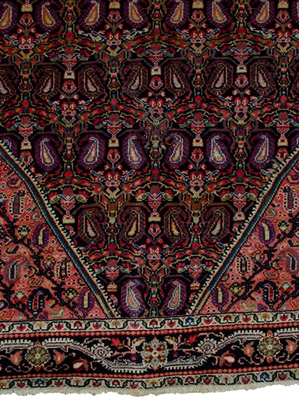 Dropbox_Mehdi-H341-Close-Up.jpg Dropbox_Mehdi-H341-Close-Up.jpg
