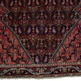 Dropbox_Mehdi-H341-Close-Up.jpg