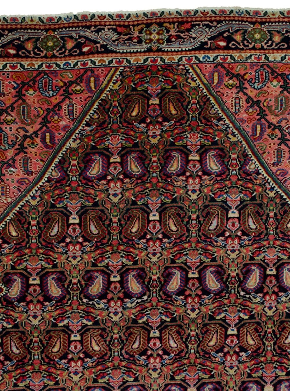 Dropbox_Mehdi-H341-Close-Up1.jpg Dropbox_Mehdi-H341-Close-Up1.jpg