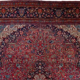 Dropbox_Mehdi-H341-Close-Up2.jpg