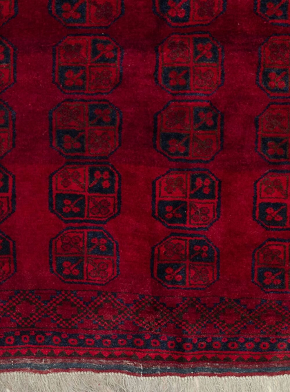 Dropbox_Mehdi-H342-Close-Up.jpg Dropbox_Mehdi-H342-Close-Up.jpg