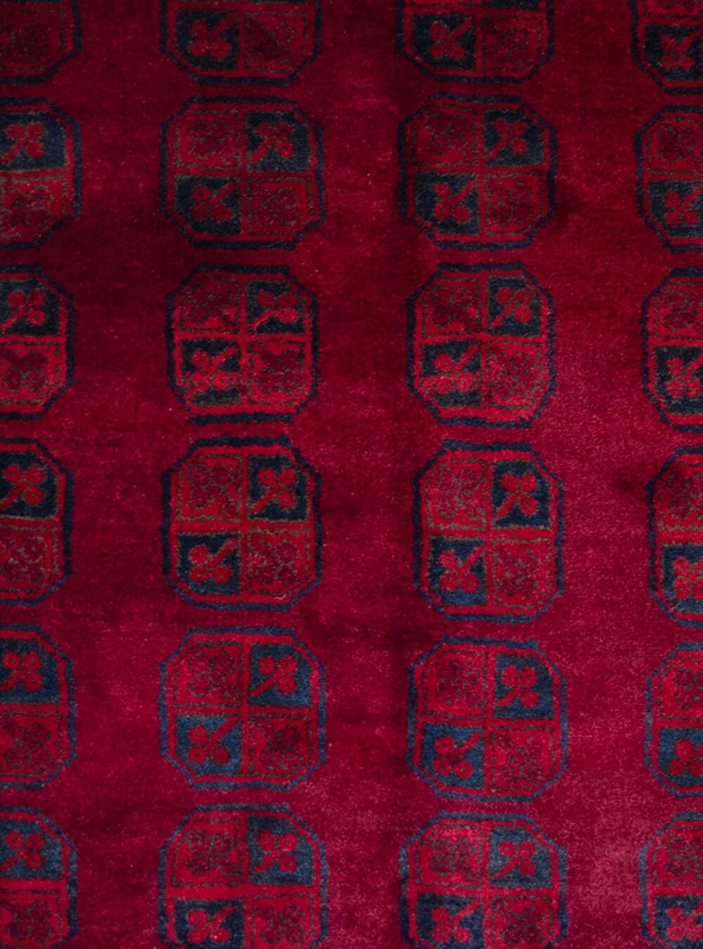 Dropbox_Mehdi-H342-Close-Up1.jpg Dropbox_Mehdi-H342-Close-Up1.jpg