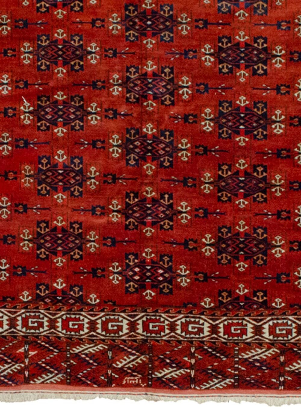Dropbox_Mehdi-HB5-Close-up.jpg Dropbox_Mehdi-HB5-Close-up.jpg