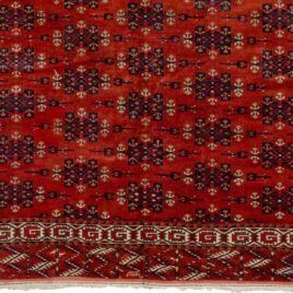 Dropbox_Mehdi-HB5-Close-up.jpg