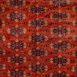 Dropbox_Mehdi-HB5-Close-up1.jpg