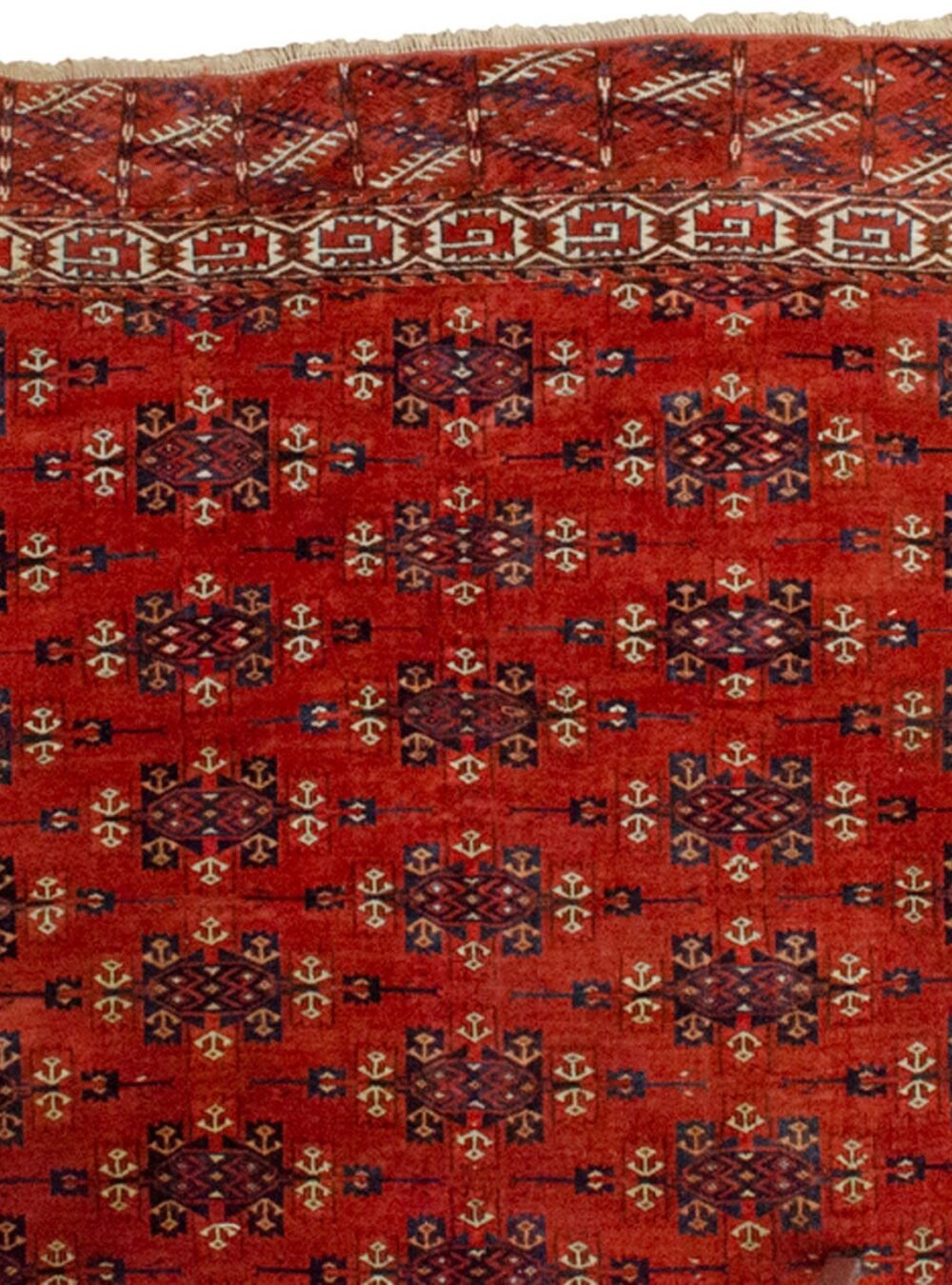 Dropbox_Mehdi-HB5-Close-up3.jpg Dropbox_Mehdi-HB5-Close-up3.jpg