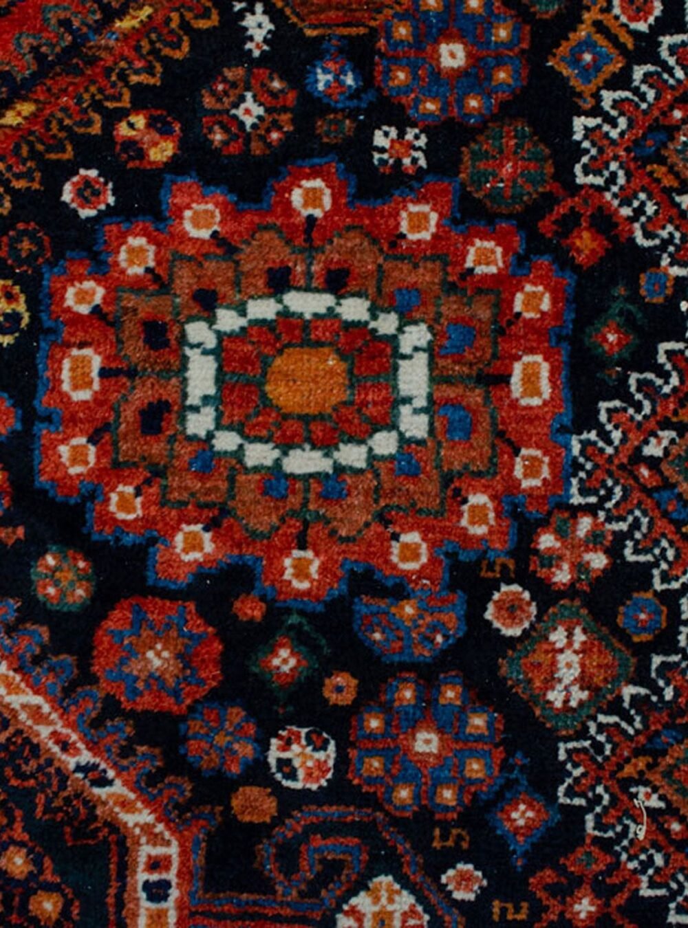 Dropbox_Mehdi-M335-Flower.jpg Dropbox_Mehdi-M335-Flower.jpg