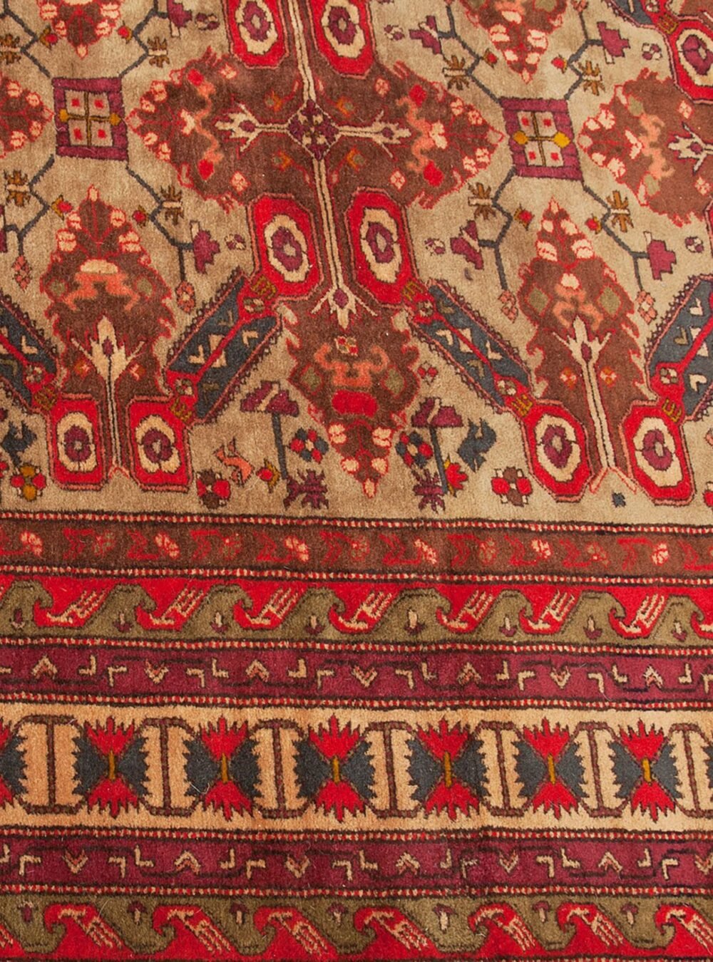 Dropbox_Mehdi-M38-Close-Up.jpg Dropbox_Mehdi-M38-Close-Up.jpg