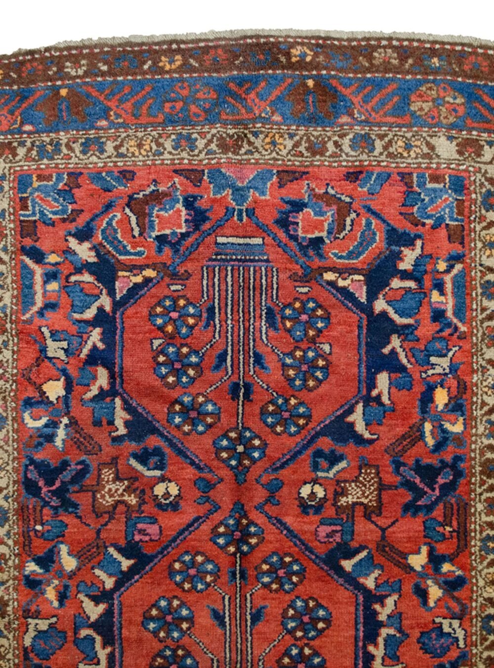 Dropbox_Mehdi-M93-Close-Up1.jpg Dropbox_Mehdi-M93-Close-Up1.jpg