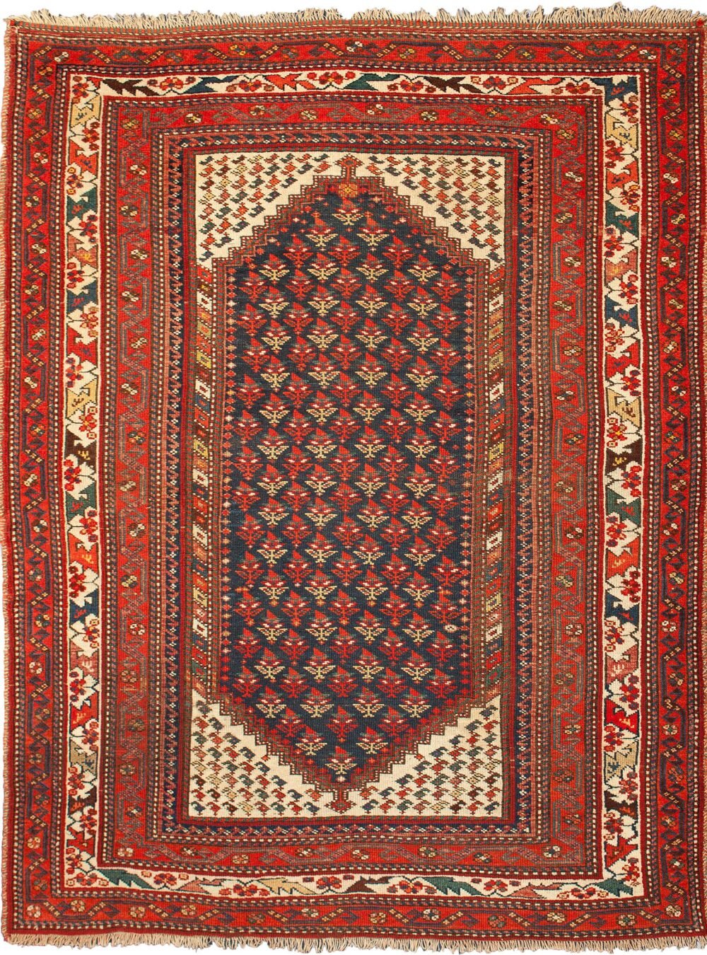 Dropbox_Mehdi-X55-Kelardasht-234x160cm.jpg