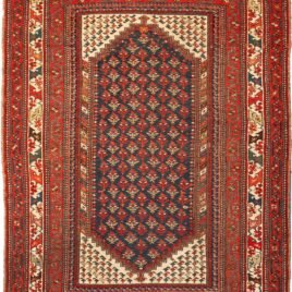 Dropbox_Mehdi-X55-Kelardasht-234x160cm.jpg