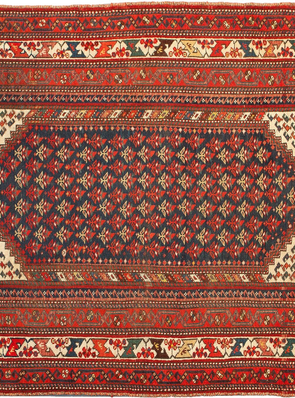 Dropbox_Mehdi-X55-Kelardasht-234x160cmr.jpg Dropbox_Mehdi-X55-Kelardasht-234x160cmr.jpg