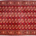H342-Turkmen-286x202cmr.jpg