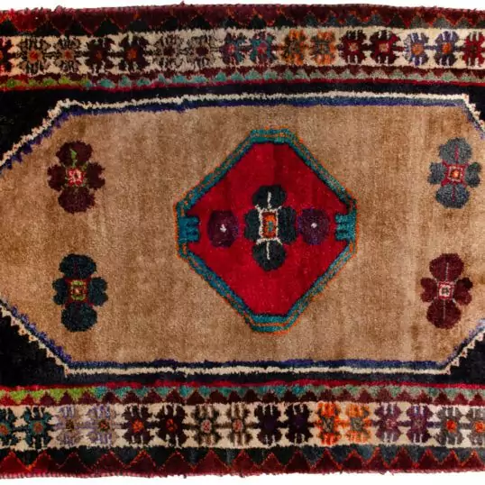 H376-Shiraz-158x91cm.jpg