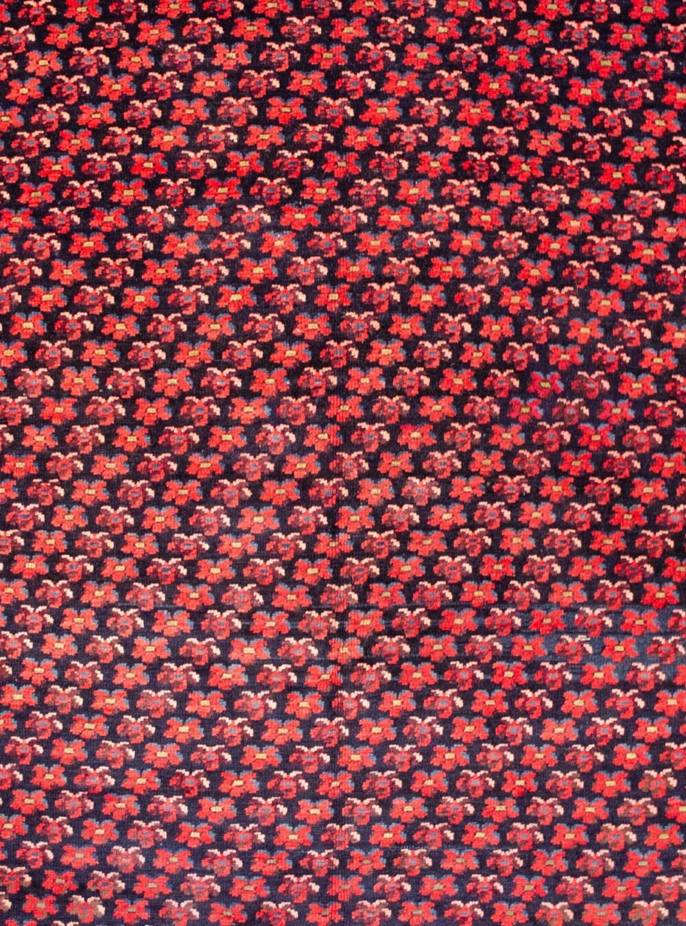 M114-Close-Up1.jpg M114-Close-Up1.jpg
