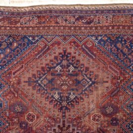 M339-Close-Up.jpg