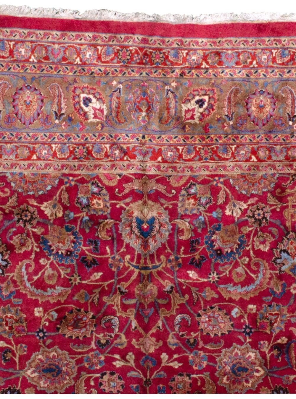 M340-Close-Up.jpg M340-Close-Up.jpg