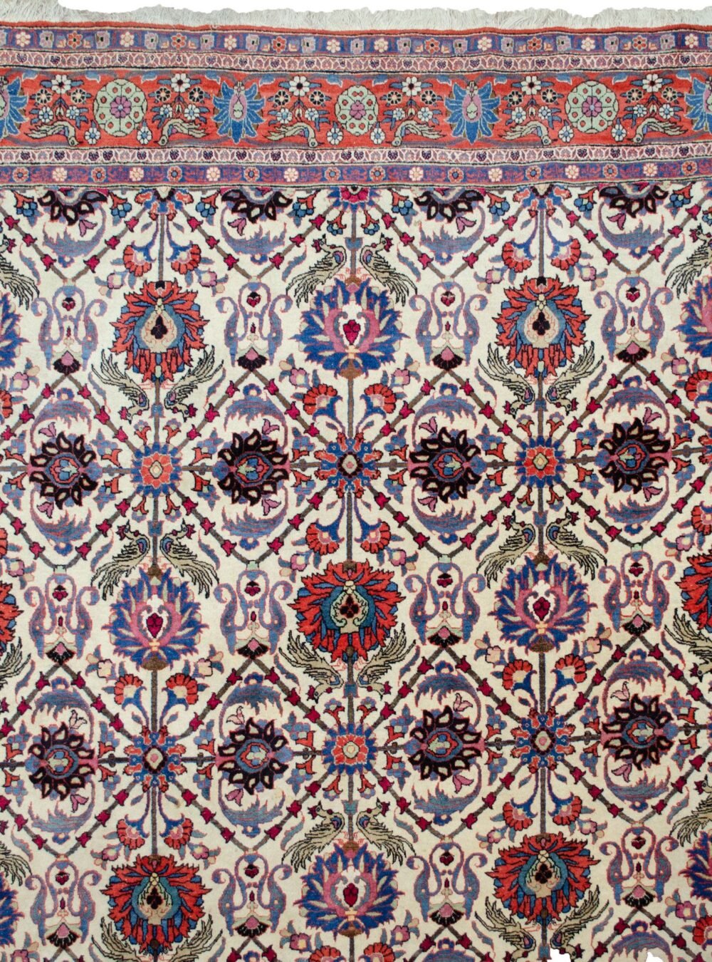 M343-Close-Up.jpg M343-Close-Up.jpg