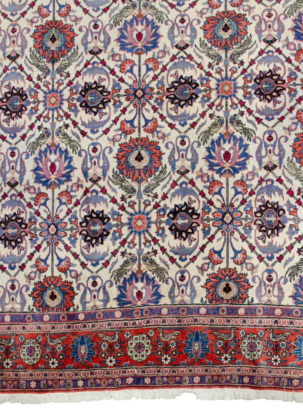 M343-Close-Up1.jpg M343-Close-Up1.jpg