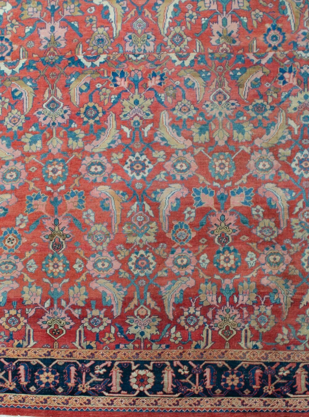 M371-Close-Up2.jpg M371-Close-Up2.jpg
