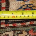 M377-Back.jpg